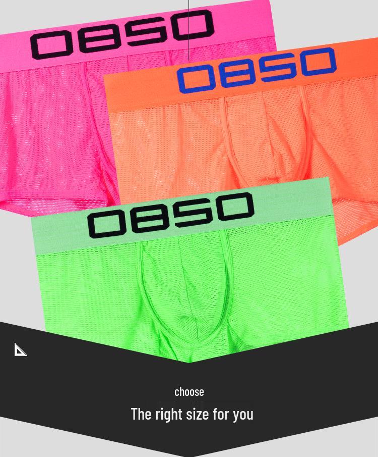 Men's Sexy Mesh Butt-Lifting Low-Rise High-Cut Briefs (BS834)