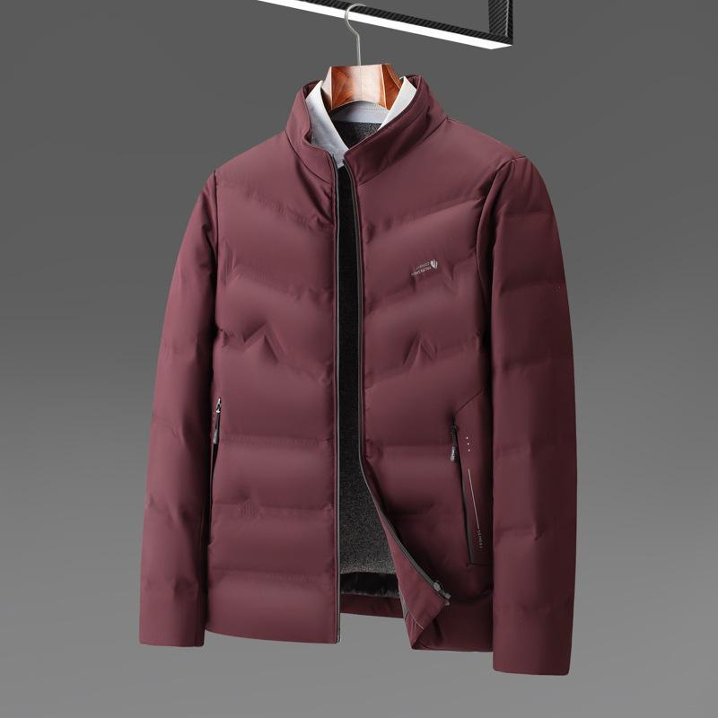 Autumn and Winter Duck Down Warm Stand-up Collar Zipper Version Youth Business Thickened Casual Down Jacket