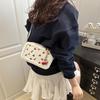Summer New Stylish Small Square Bag Fashionable Simple Style Casual Crossbody Shoulder Bag Square Handbag Purse