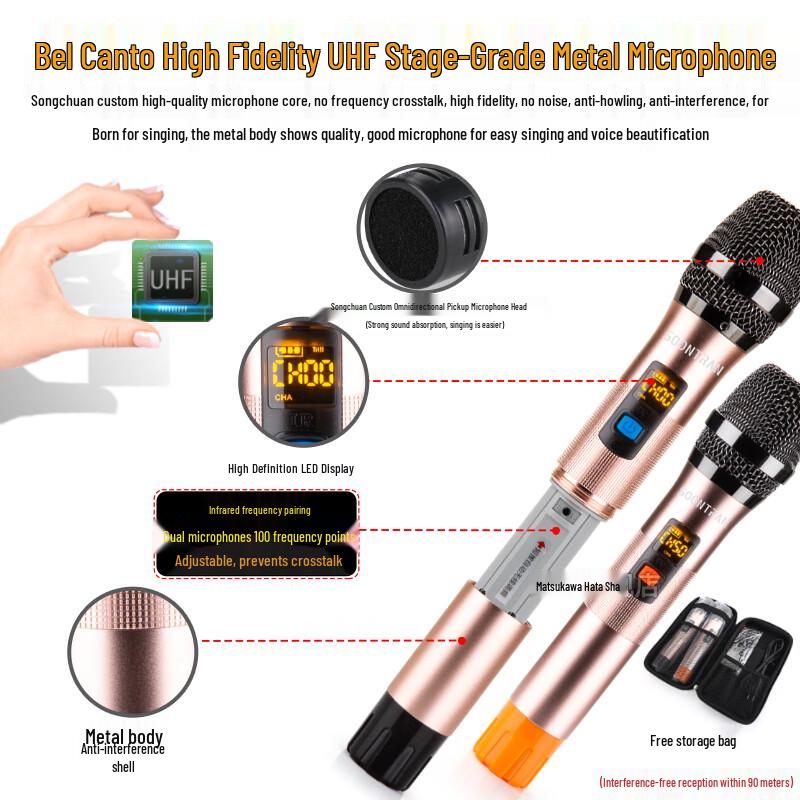 Songchuan SG3 Portable High-Power Karaoke Speaker CN plug (adapter included)