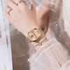POEDAGAR Luxury Woman Watch Waterproof Stainless Steel Mesh Women's Watches Fashion Elegant Quartz Ladies Wristwatch Reloj