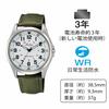 Citizen Q&Q Watch Analog Waterproof Leather Strap QB38-304 Men's Green