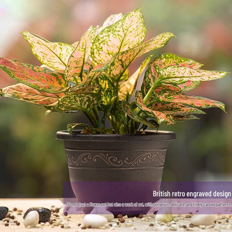 

Feng Ge Tu Retro Imitation Copper Resin Flower Pot with Tray