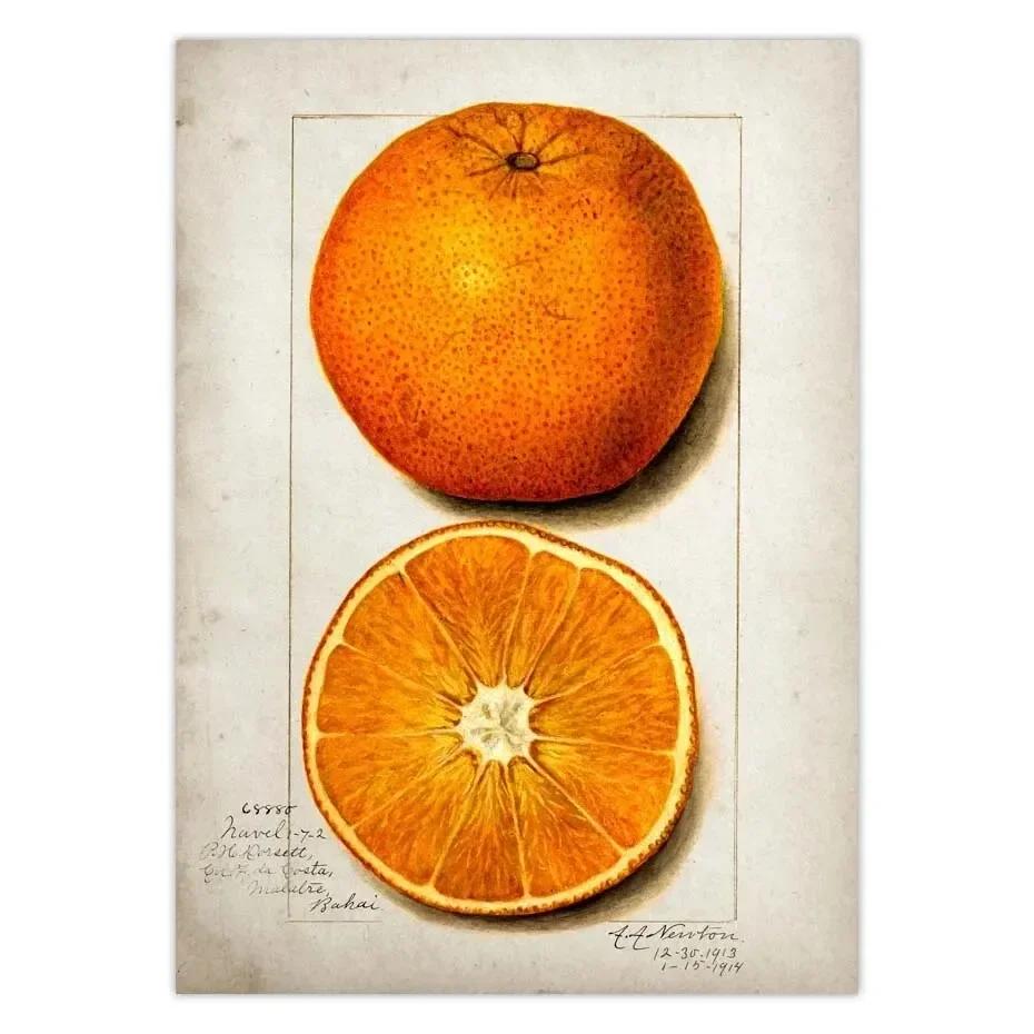 Classic Fruit Kitchen Antique Canvas Painting Retro Print Pear Apple Pineapple Wall Art Deco Picture,High Quality for Home Decor