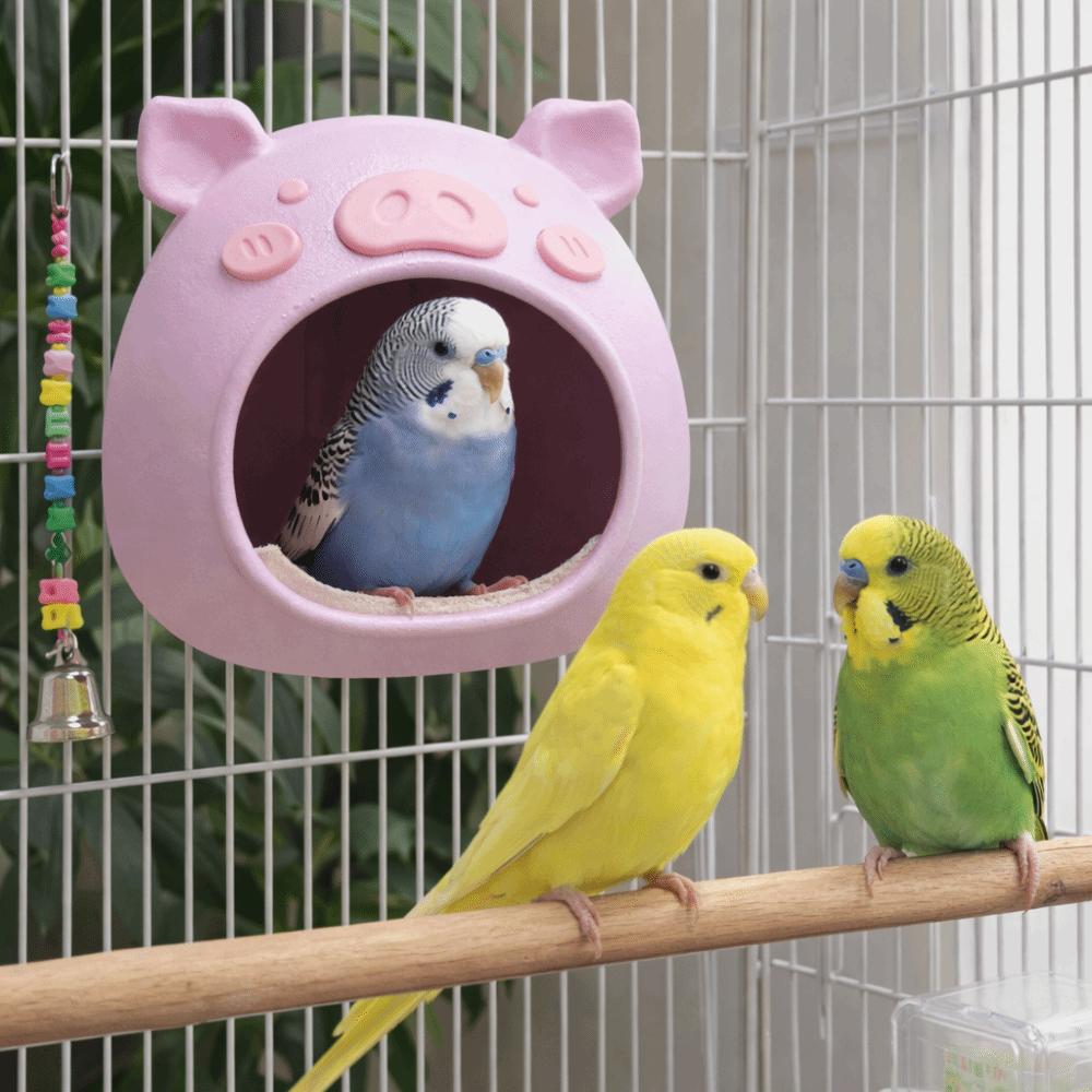 Cartoon Bird Breeding Nest Pig Shape Plastic Hanging Hamster House Bite Resistant Wear-resistant Birdcage Nest Garden Decor