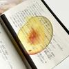 Reading Bookmark Simulation Fruit Bookmark Desktop Decor Bookmark Eye-Catching For Birthday Gift Stationery Collection