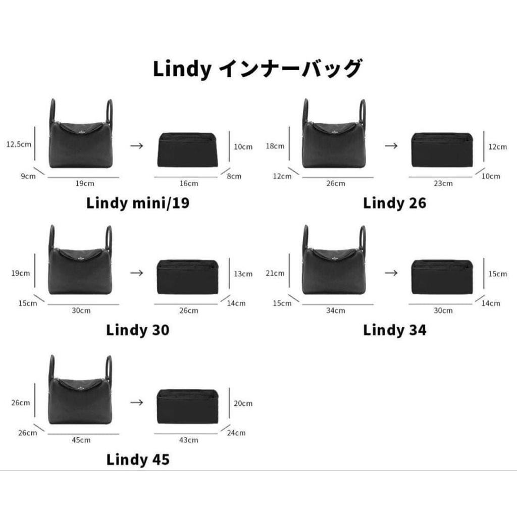 DGAZ Lindy 30 bag-in-back inner bag