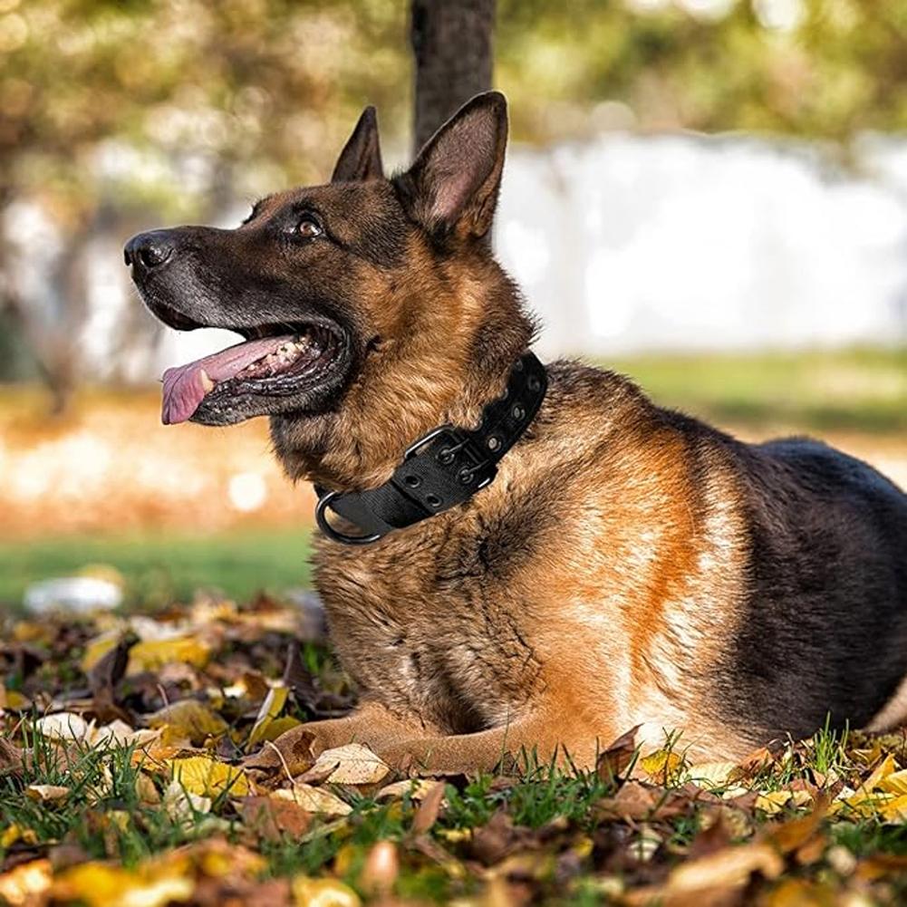 Adjustable Dog Collar,Tacticals Nylon Pet Dog Collar With Pin Buckle,Pet Dog Collar For Small Medium Large Dogs M/L/XL