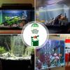 Water Purification Tablets Eco-Friendly Aquarium Water Purifier Fast-Acting Fish Tank Cleaning Solution Aquarium Water Clarifier