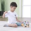 PolarB Polar B Hedgehog Sorting Pull Birthday Shape x x cm Toy, Gift, Matching, TYPR44025, 20.2 9.7 16.3 (x 1)