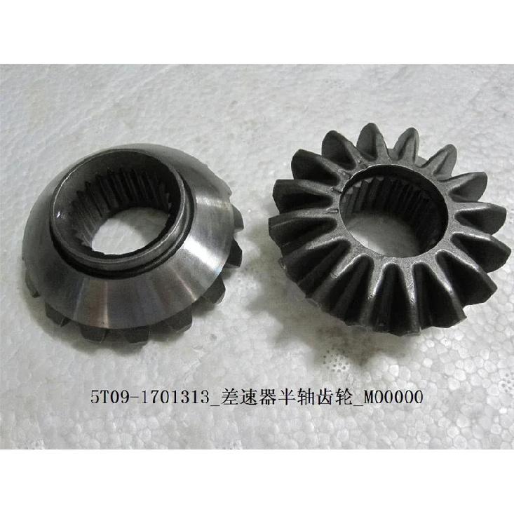 Differential planetary gear/Differential gear for BYD F0 Transmission gear 5T09-1701313/5T09-1701315 5T09 1701313