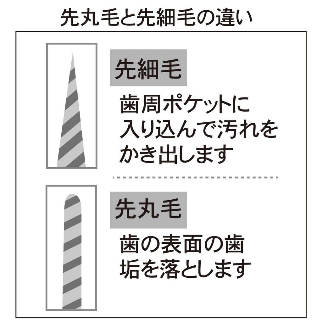 The God of Spiral Twin Adult Zoo Natural Clear LAPIS, Toothbrushing Bristles, Toothbrush, Regular, Bristles, 7-Piece Set, LA-221PET,