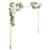 Over the Table Rod Stand with Clamps, Adjustable 71-249 Cm Length & 33-106 Cm Height, Table Arch Stand with Floral Accessories, Gold Balloon Frame for