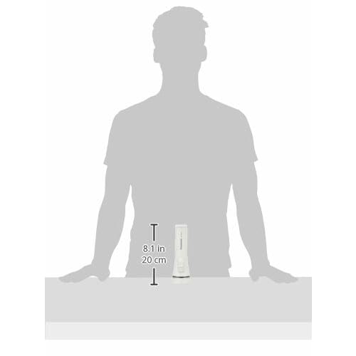 Panasonic LED flashlight with dry battery Evolta NEO BF-BG41K-W