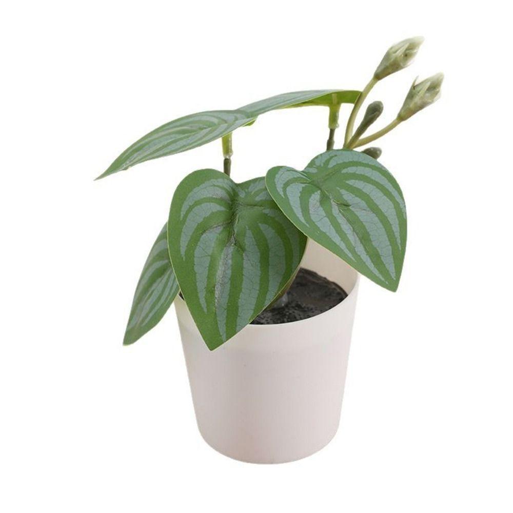 Green Green Plant Potted Greenery Desktop Ornament High Quality Artificial Grass Bonsai  Windowsill