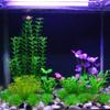 Natural Look Aquarium Water Plants Realistic Fish Tank Grass Green Water Grass  Terrariums