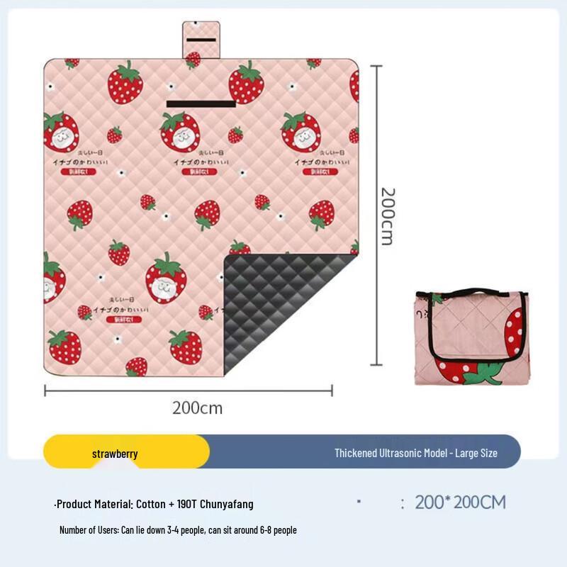 Portable Waterproof Picnic Mat 200x200 cm