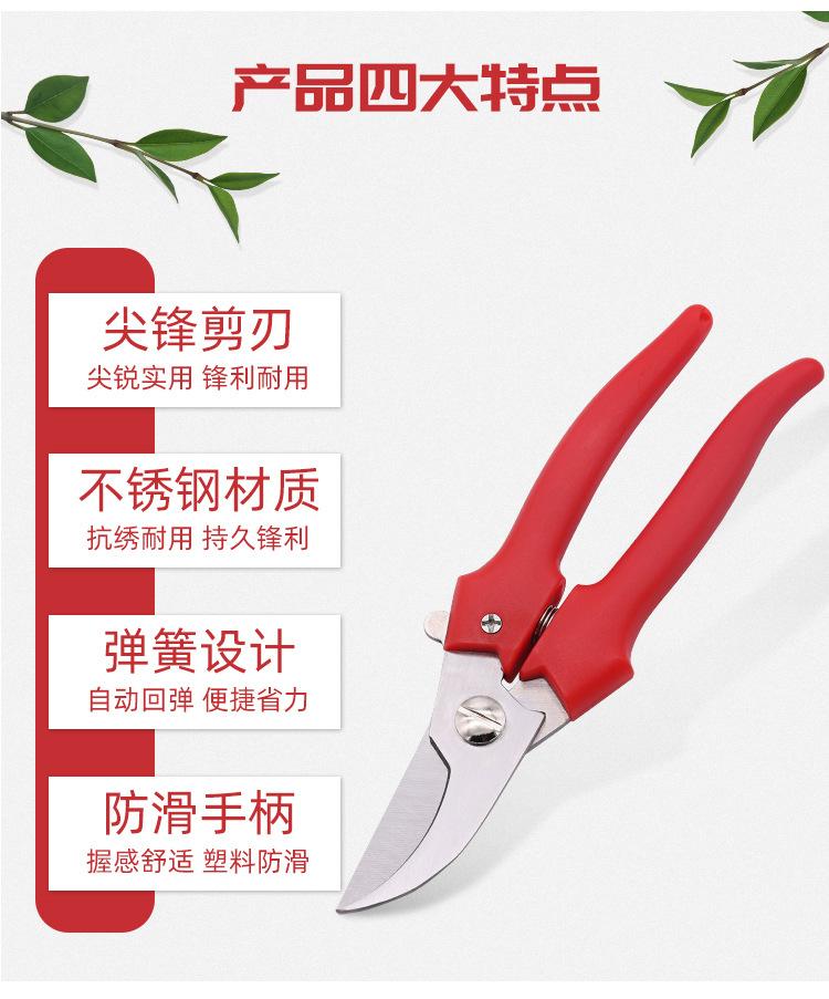 Stainless Steel Beak Garden Pruning Shears Fruit Shears Fruit Tree Gardening Branch Shears Fruit Picking