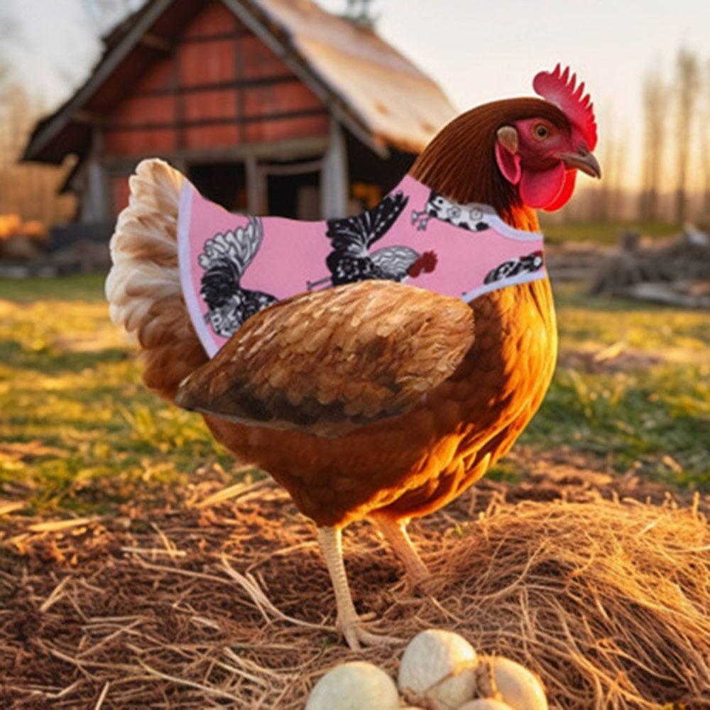 Easy to Clean Waterproof Chicken Saddle Breathable Washable Chicken Apron Elastic Poultry Protection Vest Poultry Protection