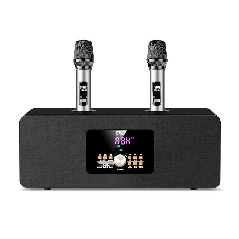 Soai 620X Home KTV Karaoke Speaker System