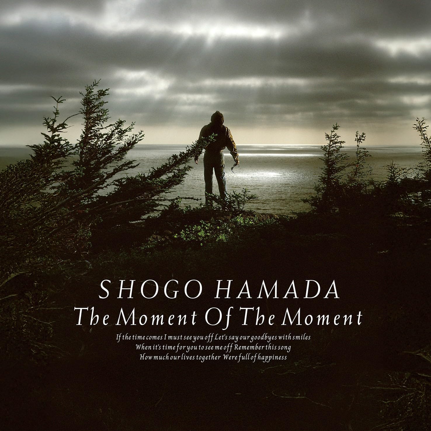 

LP Record SHOGO HAMADA - Moment Of The Moment SEJL103 CLEAR WATER 2025 Japan Japanese Pop/Rock