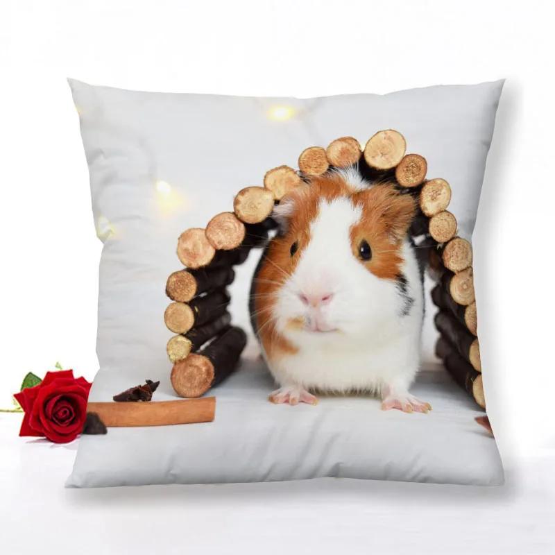 Guinea Pig Zipper Pillowcase Home Decor Satin Square  Bedroom