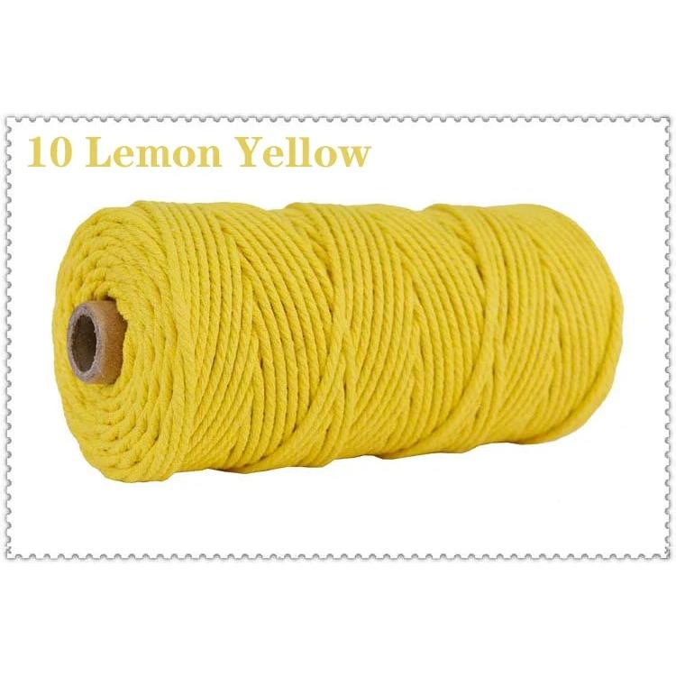 3mm 100% Cotton Cord Colorful Handmade Rope Twisted Macrame String DIY Home Wedding Decoration Supply Film Packaging 100m