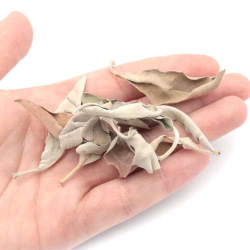 GOLD STONE Crushed White Sage, Unsorted, B-Grade, 50g, Pesticide-Free, California-Grown