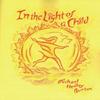 In Light of the Child by Michael Hedley Burton Paperback Book 9780880104500
