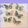 Shell Butterfly Brooch Handmade Craft With Dual Use For Fashion Accessories