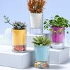 Modern Selfwatering Flower Pot Healthy Plant Growth Auto Watering Flower Holder For Home Decors Balcony Planting Supply