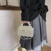 Shoulder Woven Pearl Bag Diagonal Square Handbag Mini Version Zipper Without