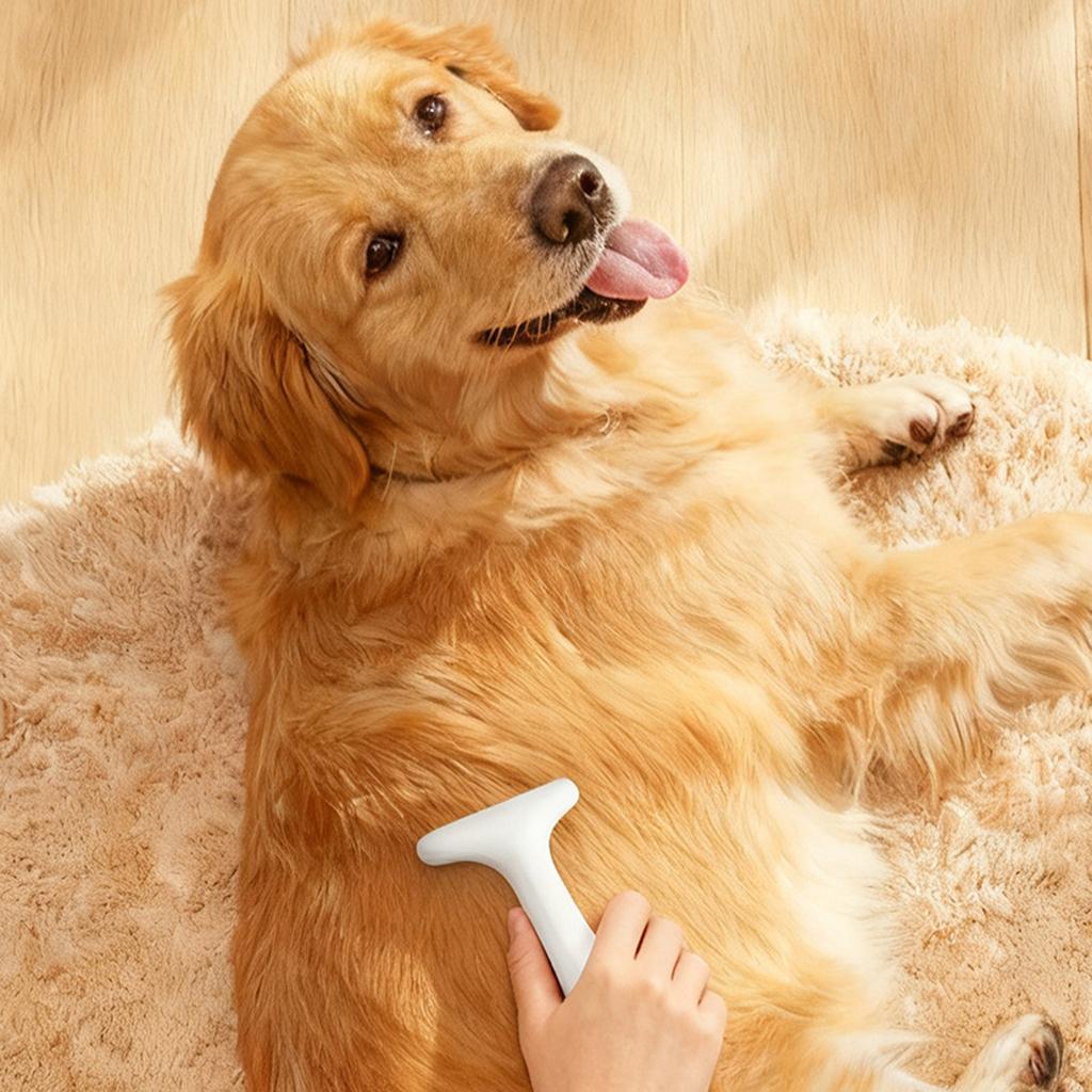 Detangling Comb Brush Hair Removal Tool for Loose Hair Thinning Pet Grooming Accessories