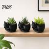 Talos Blumentopf-Ornament, 3D-gedruckte schlafende Drachenform, matt großer gewölbter Pflanztopf, für Heim-Büro-Schreibtisch-Garten-Dekoration