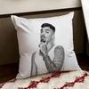 Singer DDaniel AAvery Cushion Cover Reversible Soft Durable Pillow Cover Home  Car MultiScene Use for Daily Comfort