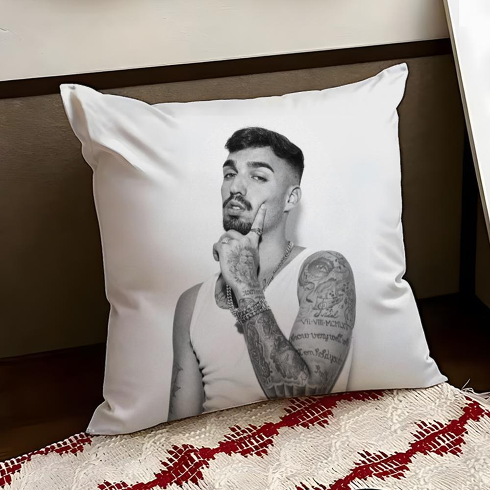 Singer DDaniel AAvery Cushion Cover Reversible Soft Durable Pillow Cover Home Car MultiScene Use for Daily Comfort