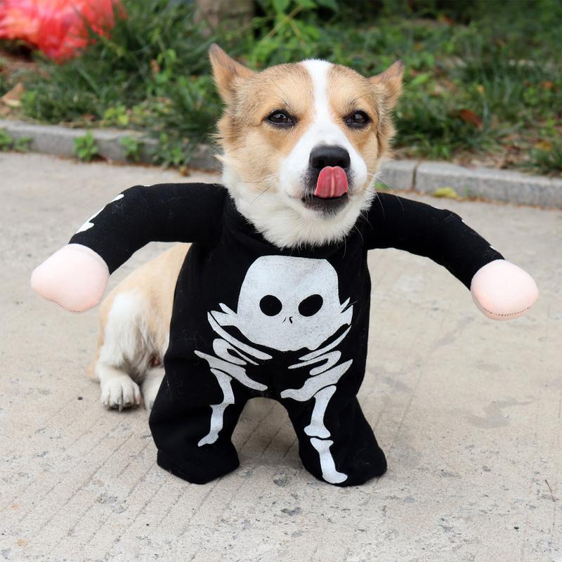 Halloween Costumes For Dogs Glow In The Dark Skull Spooky Costume Dog Clothes Pet Clothes Novelty Funny Halloween Pet Costumes