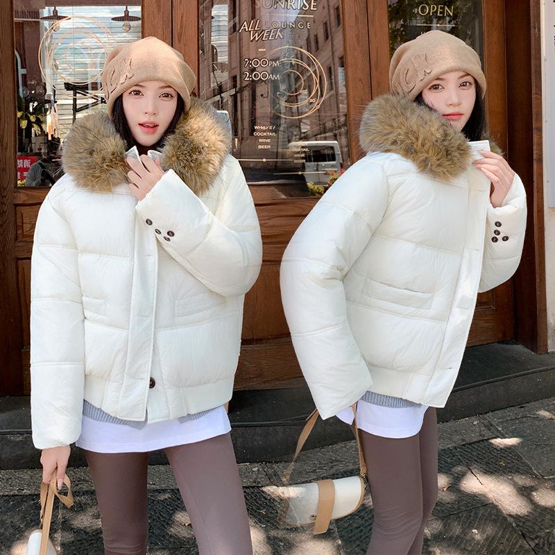 Seasonal down cotton-padded clothes women's loose cotton-padded clothes casual short big fur collar jacket