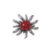 Autumn Edelweiss Rhinestone Shoe Buckles & Flower Accessories