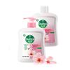 Antibacterial Moisturizing Hand Wash Set