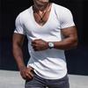 Ανδρικό Λευκό Βαφλέ T-shirt Βαθύ V Λαιμόκοψη Κοντό Μανίκι Καμπυλωτό Τελείωμα Στενή Εφαρμογή Casual Βασικό Τοπ