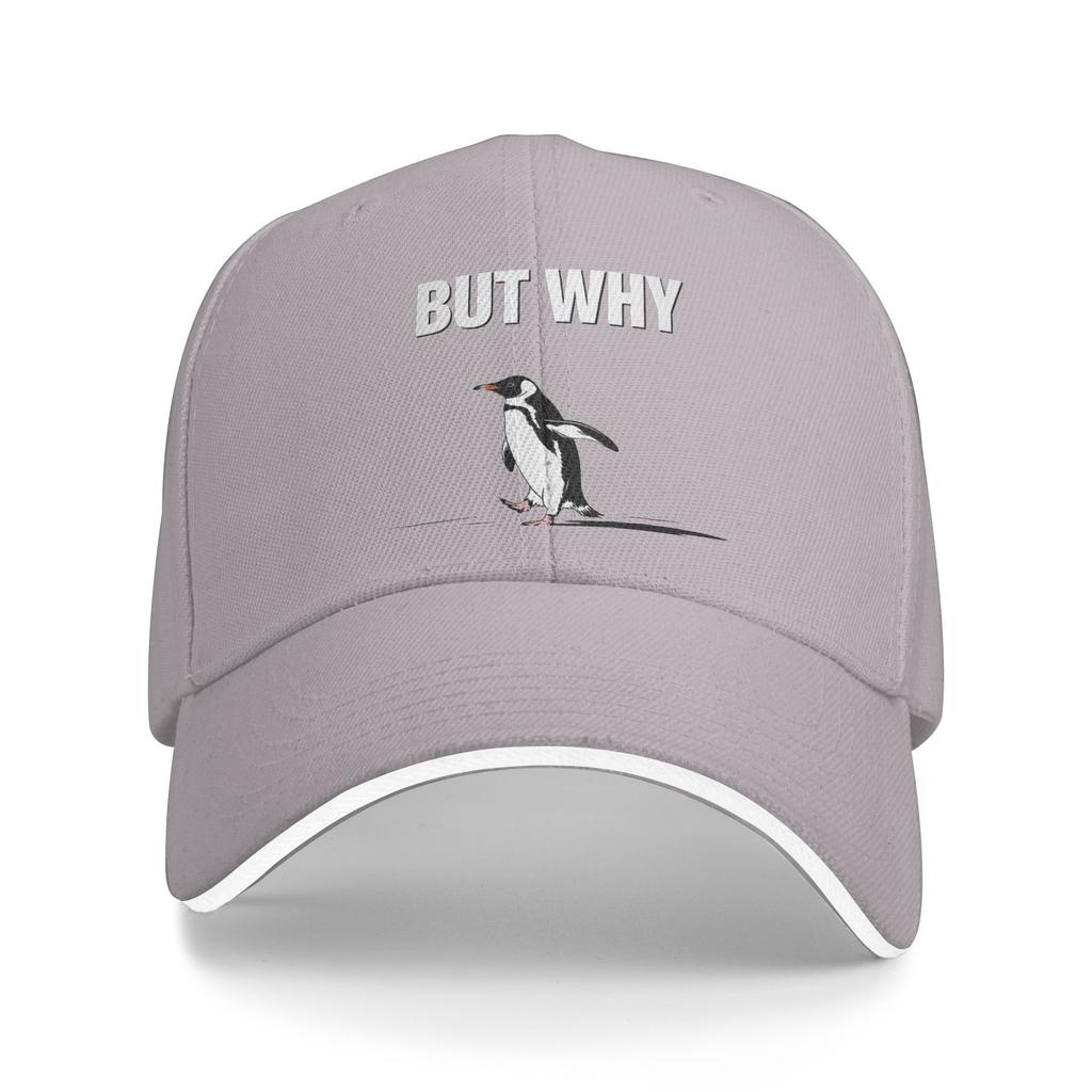 Vintage Nihilist Penguin But Why Baseball Cap  Men Women Print Hip Hop Hats Summer Tennis Skate Dropshipping Baseball Caps
