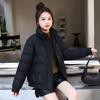 Small short cotton-padded women's winter thermal stand-up collar loose belly covering thin down cotton-padded women's cotton-padded jacket tide