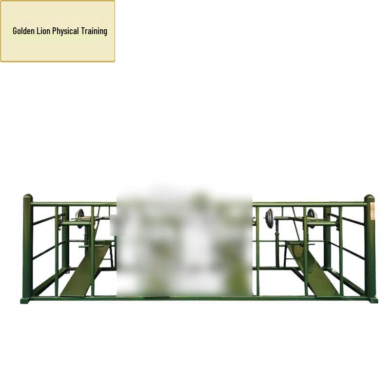 Golden Lion Outdoor Seated Push Trainer