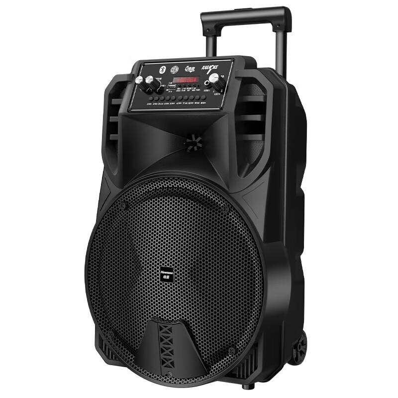 Newman N509 Portable Karaoke Trolley Speaker 12-inch