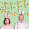 1/3Set Easter Carrot Pompom Ball Banner for Easter Party Home Decoration Hanging Garland Bunting Flag Kids Birthday Party Decor