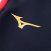 Men's Mizuno Casual Sportswear Sets Unisex Stand Collar Moderate