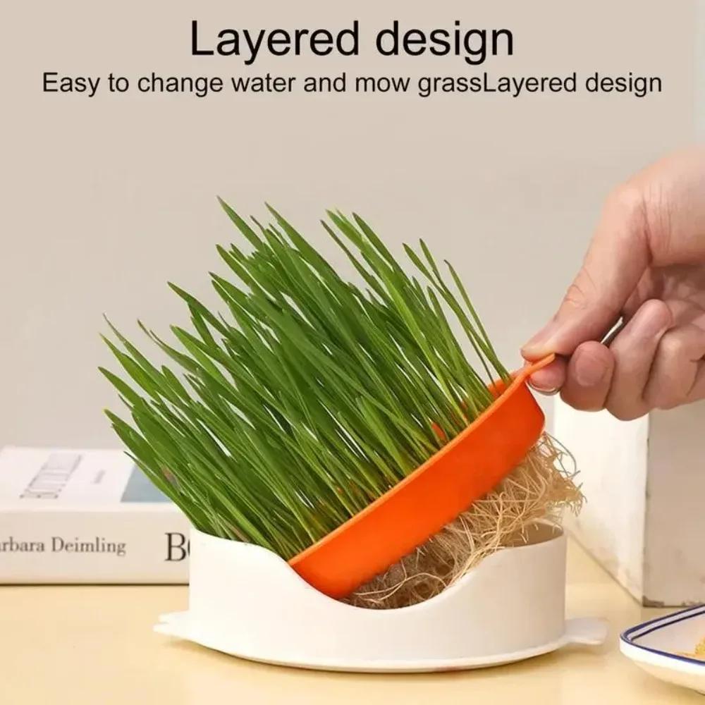 Seed Sprouter Tray Soil-Free Seedling Cat Grass Sprout Plate Hydroponic Plant Pots Pet Cat Sprout Dish Growing Pot Garden Supply