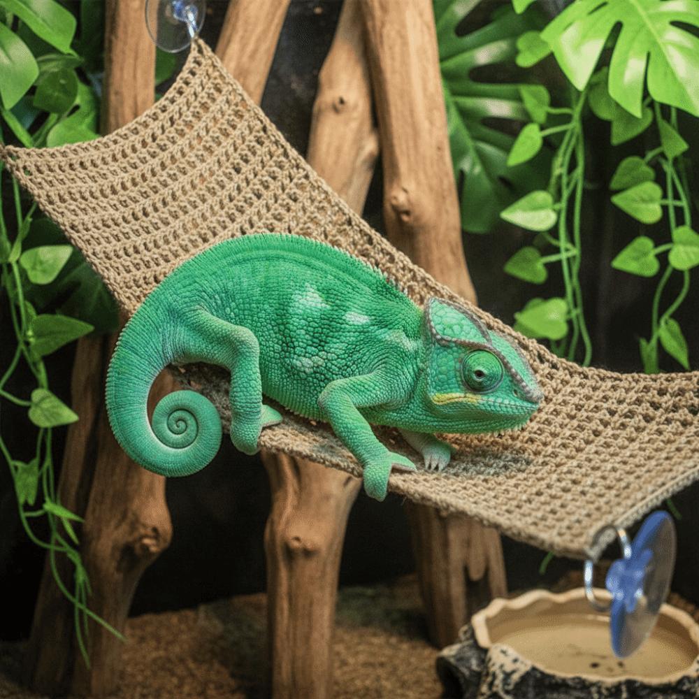 Suction Cup Lizard Hammock Hanging Reptile Mesh Hammock Pet Bed Swing  Pet Resting