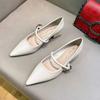2024 Woman Elegant Summer French Pointed Toe Mary Janes Casual Chunky Heels Female Retro Shoes Low Heeled Women Shoes